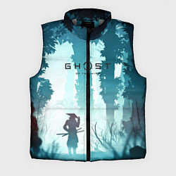 Мужской жилет Ghost of Tsushima, цвет: 3D-светло-серый