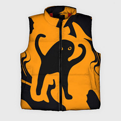 Мужской жилет Кот- мем, цвет: 3D-красный