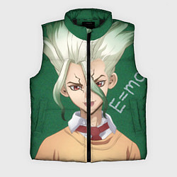 Мужской жилет Доктор Стоун