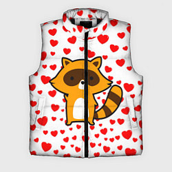 Мужской жилет Енот в сердечках
