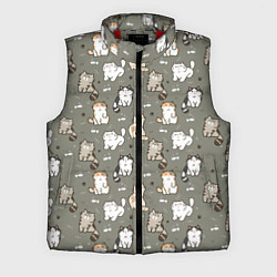 Мужской жилет Кошечки с рыбками, цвет: 3D-красный