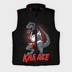 Мужской жилет KARATE T-REX, цвет: 3D-красный