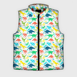 Мужской жилет DINOSAUR