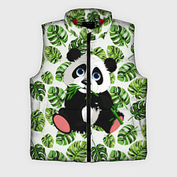 Мужской жилет Милая Панда Летняя