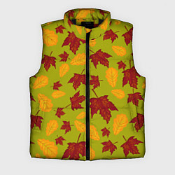 Мужской жилет Осенние листья клён и дуб, цвет: 3D-черный