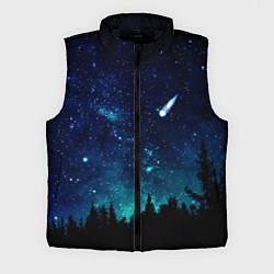 Мужской жилет ЛЕС НОЧЬЮ, цвет: 3D-черный