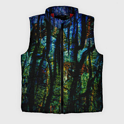 Мужской жилет Разноцветная гора