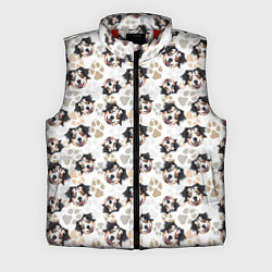 Мужской жилет Собака Австралийская Овчарка, цвет: 3D-красный