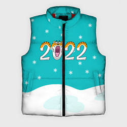 Мужской жилет Надпись 2022 Новый год, цвет: 3D-красный