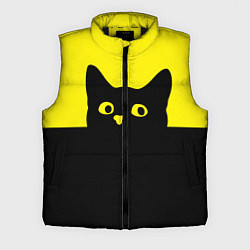 Мужской жилет Котик голова кота, цвет: 3D-черный