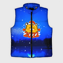Мужской жилет Год тигра 2022 Ночной закат, цвет: 3D-светло-серый