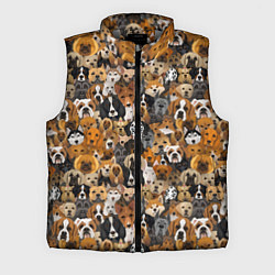 Мужской жилет Собаки Разные Породы