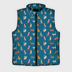 Мужской жилет Тигрята на темном фоне