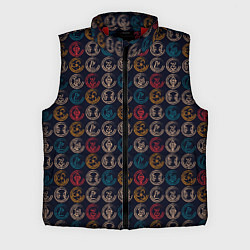 Мужской жилет Виртуальная Валюта