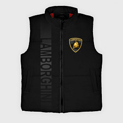 Мужской жилет Lamborghini боковая полоса, цвет: 3D-красный