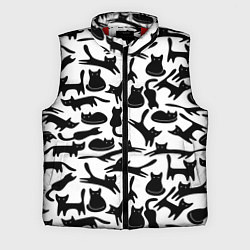 Мужской жилет Домашний котик