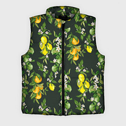 Мужской жилет Апельсины, Лаймы и Лимоны, цвет: 3D-светло-серый