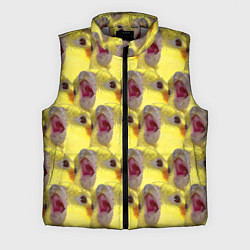 Мужской жилет Попугай Корелла Орёт Мем, цвет: 3D-светло-серый