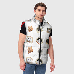 Мужской жилет Хлебокоты, цвет: 3D-красный — фото 2