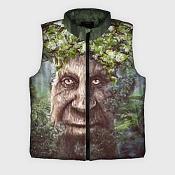 Мужской жилет Мудрое Таинственное Дерево