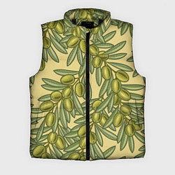 Мужской жилет Винтажные ветви оливок