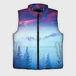 Мужской жилет Horizon landscape, цвет: 3D-светло-серый