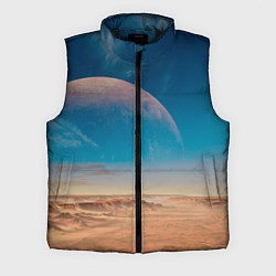 Мужской жилет Пустыня и очертания планеты, цвет: 3D-черный