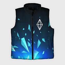 Мужской жилет The Sims взрыв частиц, цвет: 3D-черный