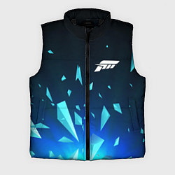 Мужской жилет Forza Horizon взрыв частиц, цвет: 3D-черный