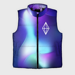 Мужской жилет The Sims northern cold, цвет: 3D-черный