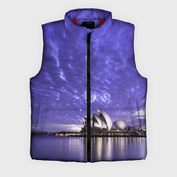 Мужской жилет Сидней в фиолетовом в закате, цвет: 3D-красный