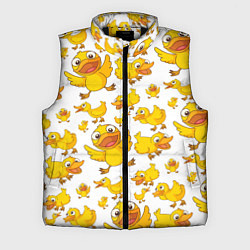 Мужской жилет Yellow ducklings