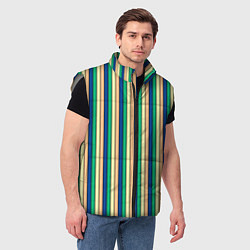 Мужской жилет Полосатый жёлто-зелёно-синий, цвет: 3D-светло-серый — фото 2