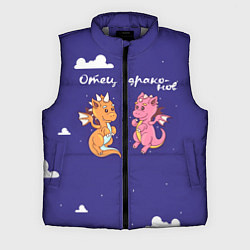 Мужской жилет Отец драконов для пары, цвет: 3D-светло-серый