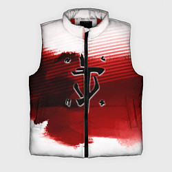 Мужской жилет Doom eternal logo краски