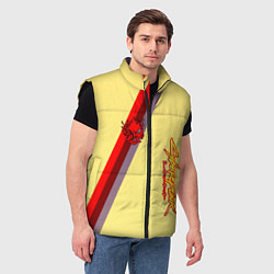 Мужской жилет Samurai geometry steel, цвет: 3D-черный — фото 2