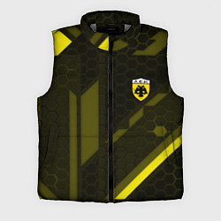 Мужской жилет AEK fc geometry