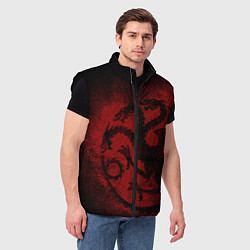 Мужской жилет Targaryen house Game of Thrones, цвет: 3D-черный — фото 2