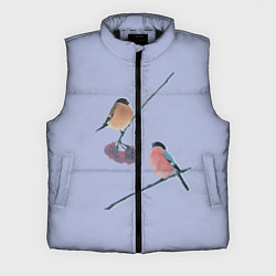 Мужской жилет Снегири на ветке, цвет: 3D-черный