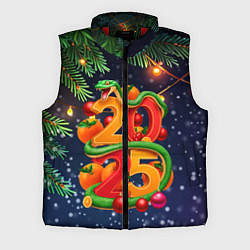 Мужской жилет Змея и мандарины 2025, цвет: 3D-красный