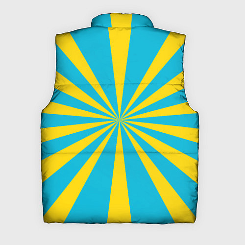 Мужской жилет Военно-воздушные силы / 3D-Светло-серый – фото 2