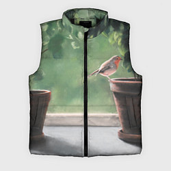Мужской жилет Птичка малиновка, цвет: 3D-черный