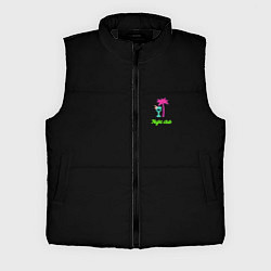 Мужской жилет Night club neon, цвет: 3D-черный