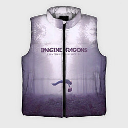 Мужской жилет Imagine Dragons: Silence, цвет: 3D-светло-серый