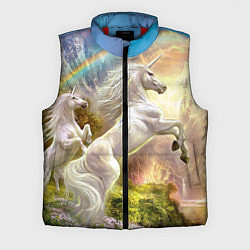 Мужской жилет Радужный единорог