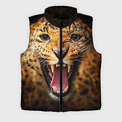 Мужской жилет Рык леопарда, цвет: 3D-черный