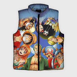 Мужской жилет One Piece, цвет: 3D-светло-серый