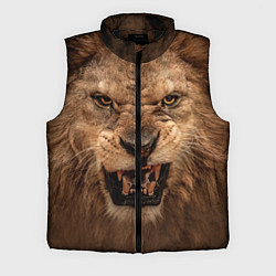 Мужской жилет Взгляд льва, цвет: 3D-черный