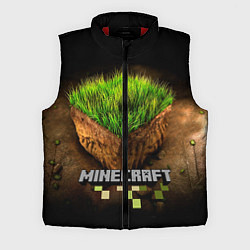 Мужской жилет Майнкрафт, цвет: 3D-красный