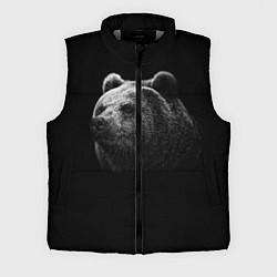 Мужской жилет Взгляд мишки